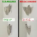 WLUS530_W_1-008.webp