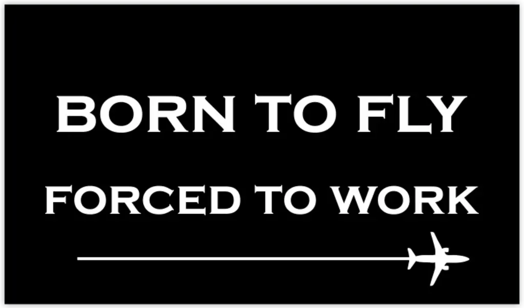 Born_to_Fly_1617631642 (1).webp