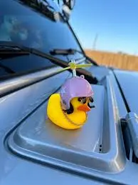 images (2).webp