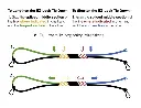 ALJR860-005.webp