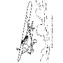 BCHW161_1.webp