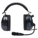 RWCM100-CF 