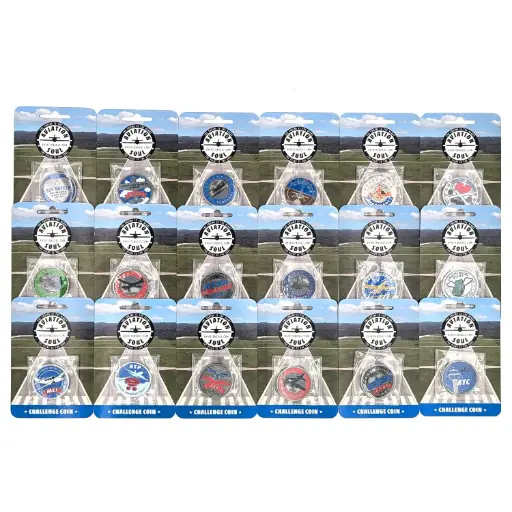 [NASL100] NASL100
